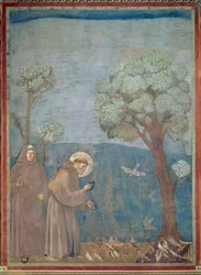 St. Frans forkynner for fuglene, 1297-99